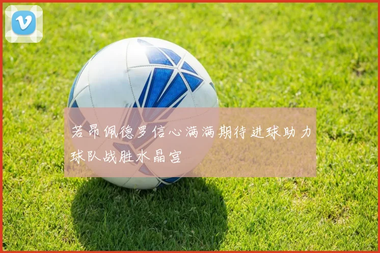 若昂佩德罗信心满满期待进球助力球队战胜水晶宫