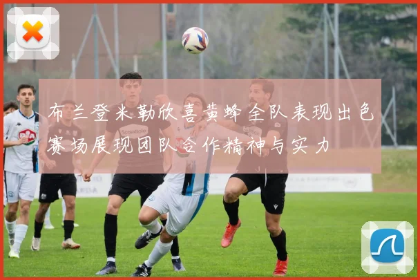 布兰登米勒欣喜黄蜂全队表现出色赛场展现团队合作精神与实力
