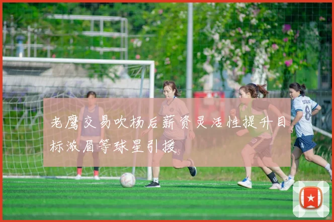 老鹰交易吹杨后薪资灵活性提升目标浓眉等球星引援