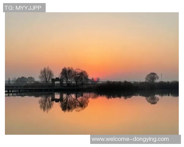 文班深入研究进攻时机力求每次出手都成为最佳选择的秘诀与心得分享